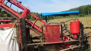 Уборка чеснока с помощью двухрядного прицепного, ботвообрезающего комбайна "ТарусаАгро - 2/45".