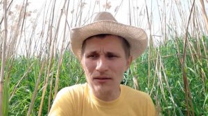 Самообеспечение, автономия и независимость.