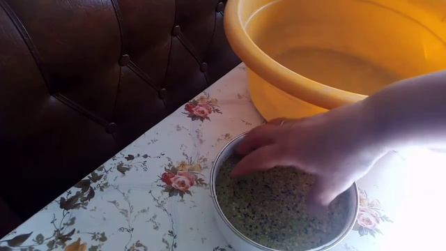 #Семена лука, чернушка.mp4 смотреть онлайн