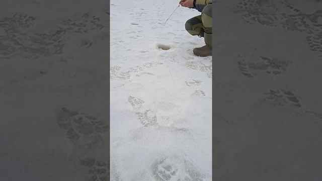 клёва нет-клёво поговорить смотреть онлайн