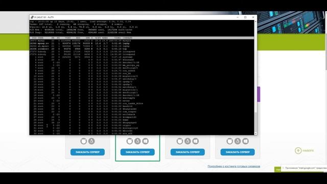 Презентация Экосистемы смотреть онлайн