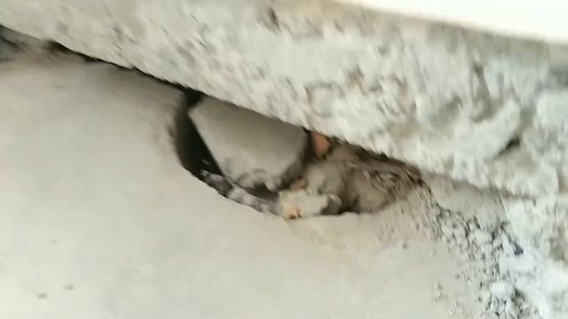 Шумоизоляция пола. смотреть онлайн