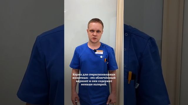 Ваш кот соблюдает специальную диету для кастрированных котов? смотреть онлайн