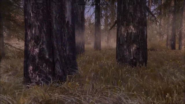 Skyrim SE Playthrough #53 | Ultra Modded 2017 | MEHRUNES' RAZOR - Part 1 смотреть онлайн