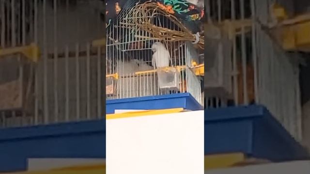 Рита. Скрытая камера смотреть онлайн