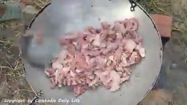 Kambadia live supper kik up python смотреть онлайн