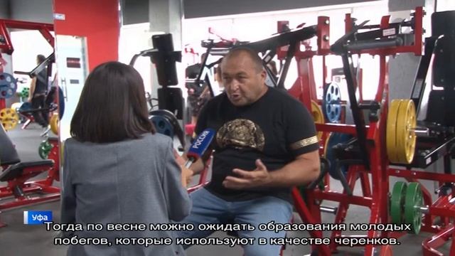 Профессиональная стрижка лобелии смотреть онлайн