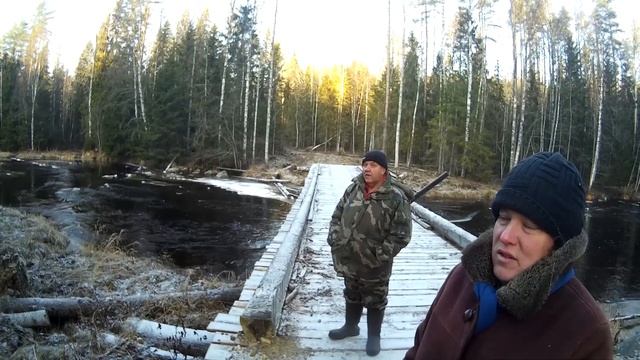 Охота на рябчика с первыми холодами. смотреть онлайн