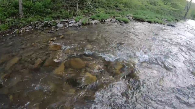 INCREDIBLE Fly Fishing for Big Brown Trout! (Streamer Fishing) смотреть онлайн