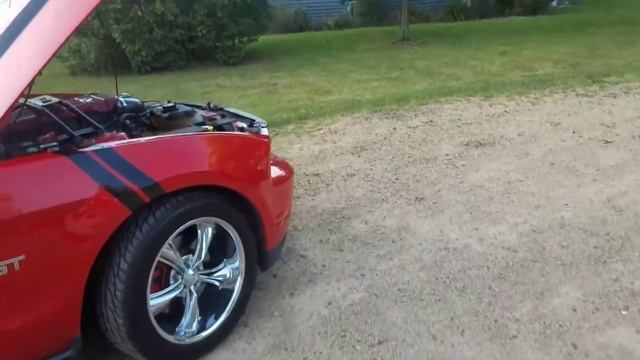 2010 Ford Mustang GT Flowmaster Outlaw muffler Rev!! смотреть онлайн
