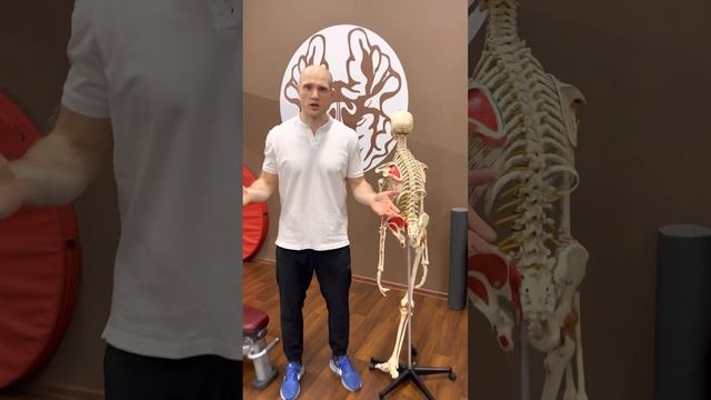 Правильные отжимания смотреть онлайн