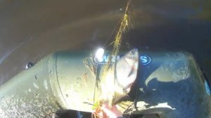 сеть 70-ка капроновая