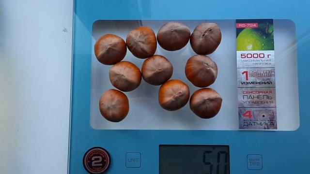 Фундук Трапезунд и Медвежий орех. смотреть онлайн