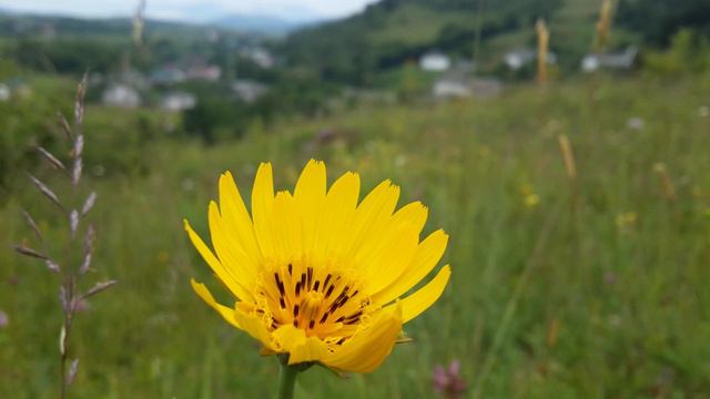 Христианские псалмы Когда я в буре смотреть онлайн