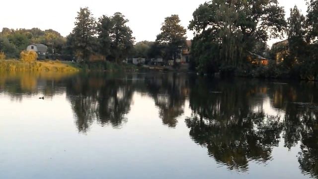 Природная звукотерапия, Калининград, вид на озеро. смотреть онлайн