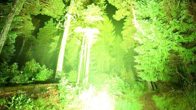 Krusseldorf - Forest Forever смотреть онлайн