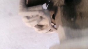 Быстрая замена шпильки ступицы, Ford Transit