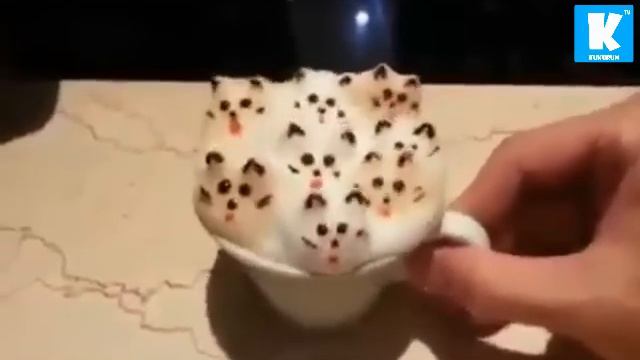 Кофе латте с котятами