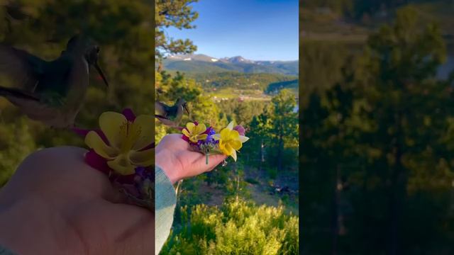 IMG_0690 смотреть онлайн