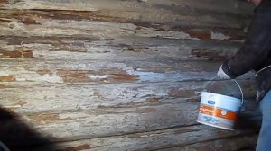 Дезинфекция курятника для кур несушек. О чем должен знать каждый птицевод?!