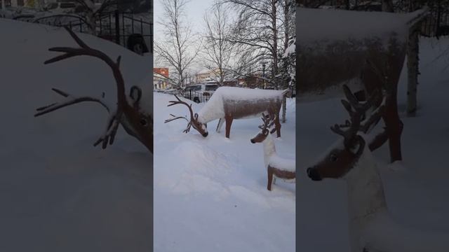 Артобьекты Олени. Животное-символ ЯНАО. смотреть онлайн