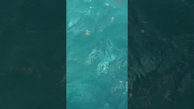 Киликия.Обзор (4)Гейнюк Пляж.Ужин.Чудестно 2021.