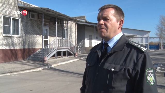 Государственный мониторинг качества и безопасности пищевых продуктов.mp4 смотреть онлайн