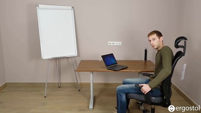 Стол с механической регулировкой высоты Ergostol Regus T смотреть онлайн