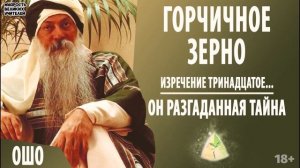 13. Он разгаданная тайна. ОШО. ГОРЧИЧНОЕ ЗЕРНО