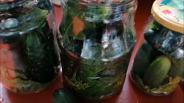 РЕЦЕПТ СОЛЕНЫХ ОГУРЦОВ смотреть онлайн