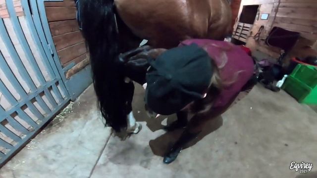 КАК ЧИСТИТЬ ЛОШАДЬ | ТУТОРИАЛ смотреть онлайн