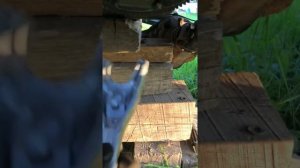 Установка сцепления газ 53