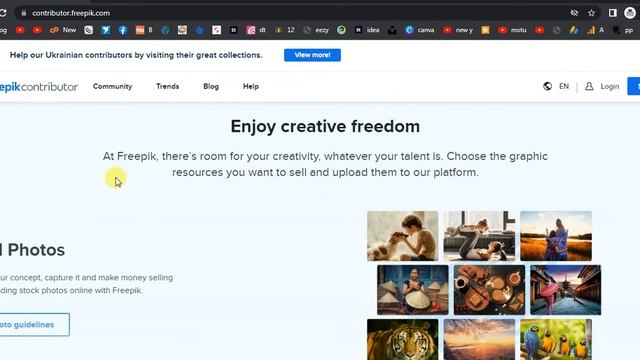 Uploading Guide for Contributors on Freepik part 1 | Introduction смотреть онлайн