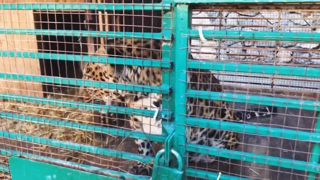 Каникулы в Северной Осетии (часть 2) г.Владикавказ 2019г.❤️? смотреть онлайн