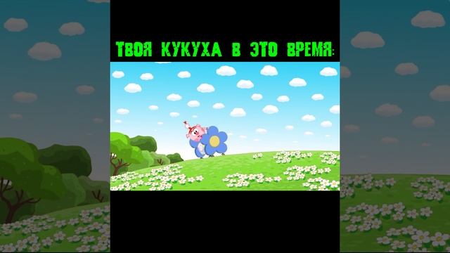 когда много учёбы