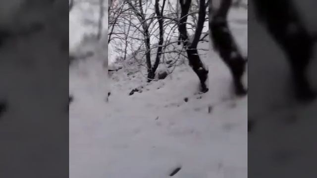 Город Алматы/ City of Almaty ?? смотреть онлайн