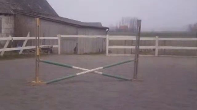 Gina & Cappe смотреть онлайн