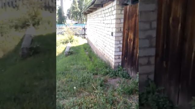 Там Люди капец смотреть онлайн