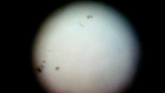 Солнце (солнечные пятна) в любительский телескоп (Sun in an amateur telescope) смотреть онлайн