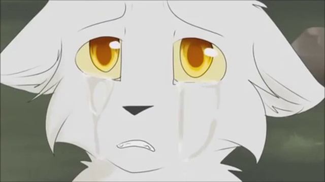 Коты воители белогривка