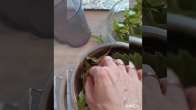 Как приготовить гидролат в домашних условиях смотреть онлайн