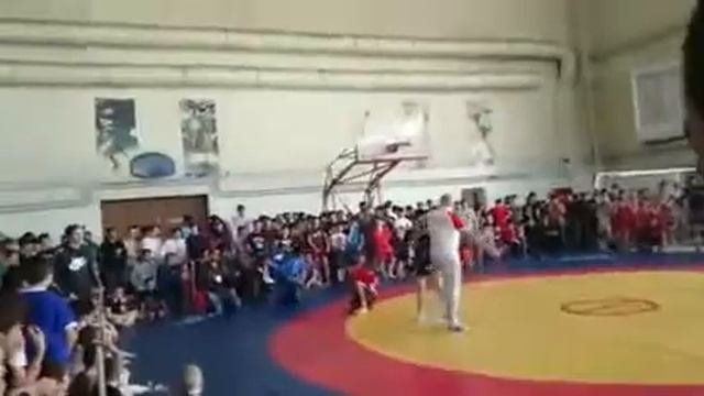 Замудин урусов (алигатор) смотреть онлайн