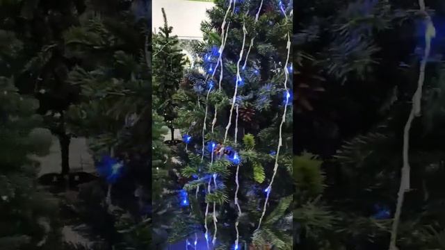 Ещё ноябрь, а в магазинах уже новогоднее настроение! ?#скороновыйгод #праздник смотреть онлайн