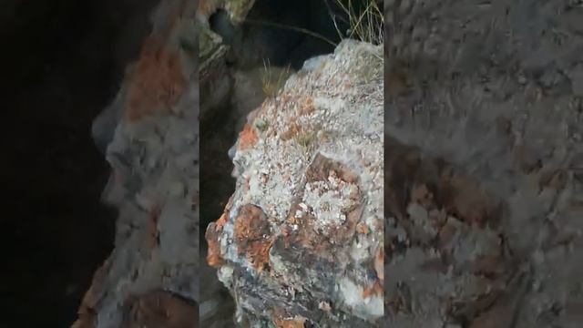 Замок, сапеги! смотреть онлайн
