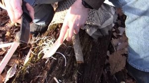 Cold Steel Recon Tanto SK-5: (Under $50) Woods Test - Preparedmind101