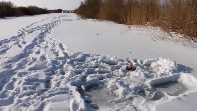 Щука на жерлицы. Загоняли нас эти щуки.Щука на балансир. смотреть онлайн