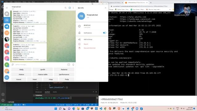 Freqtrade Bot Cloud Deployment смотреть онлайн