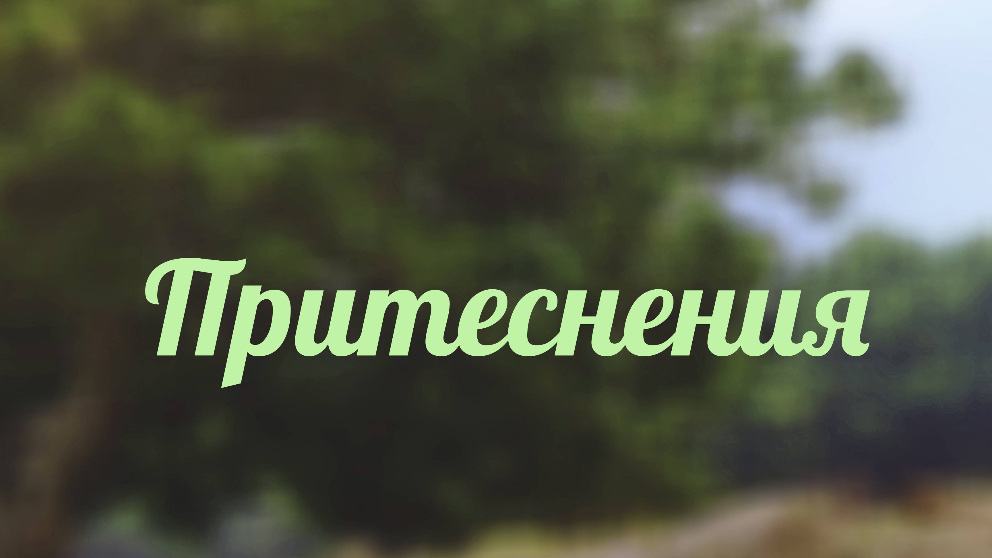 BS217 Rus 12. Притеснения и современность