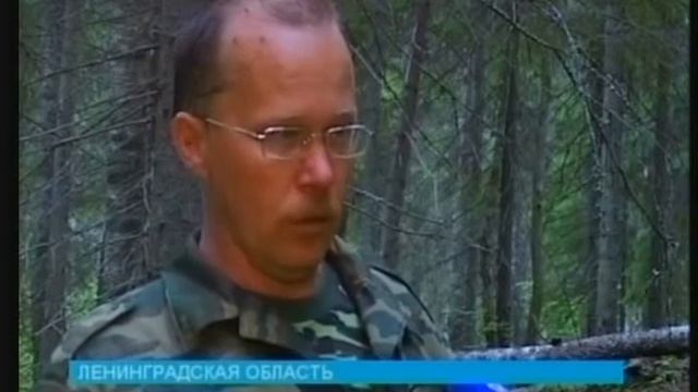 Дорога из Ленинградской области в Мордовию смотреть онлайн