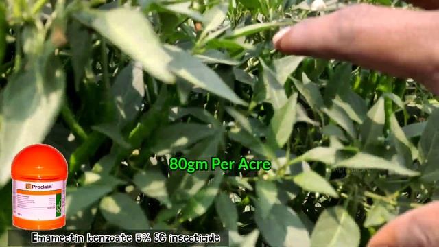 Syngenta / Cristal | Proclaim | Emamectin benzoate 5% SG | insecticide | #TAACचैनल смотреть онлайн